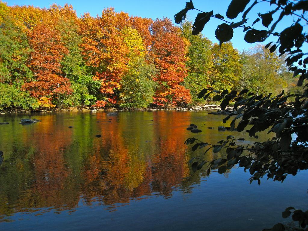 Moulin Du Daumail *